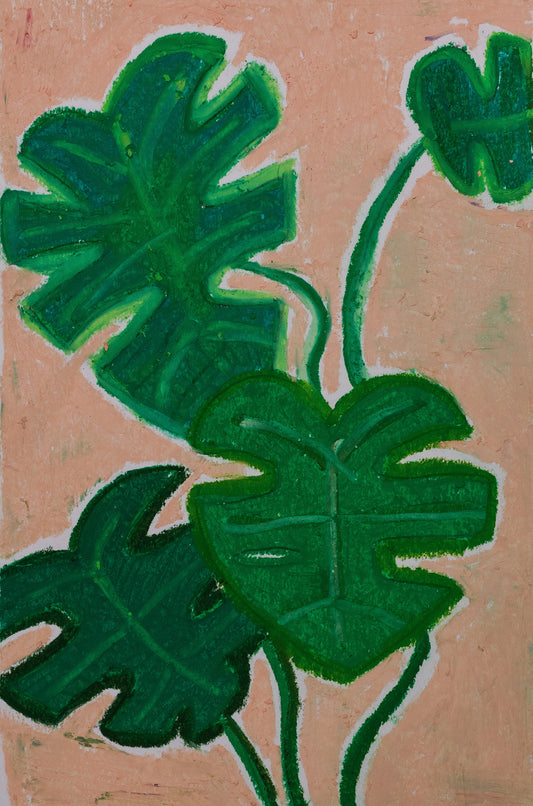 Monstera